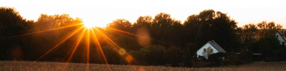 Ein Bild, das drauen, Himmel, Baum, Gras enthlt.

Automatisch generierte Beschreibung